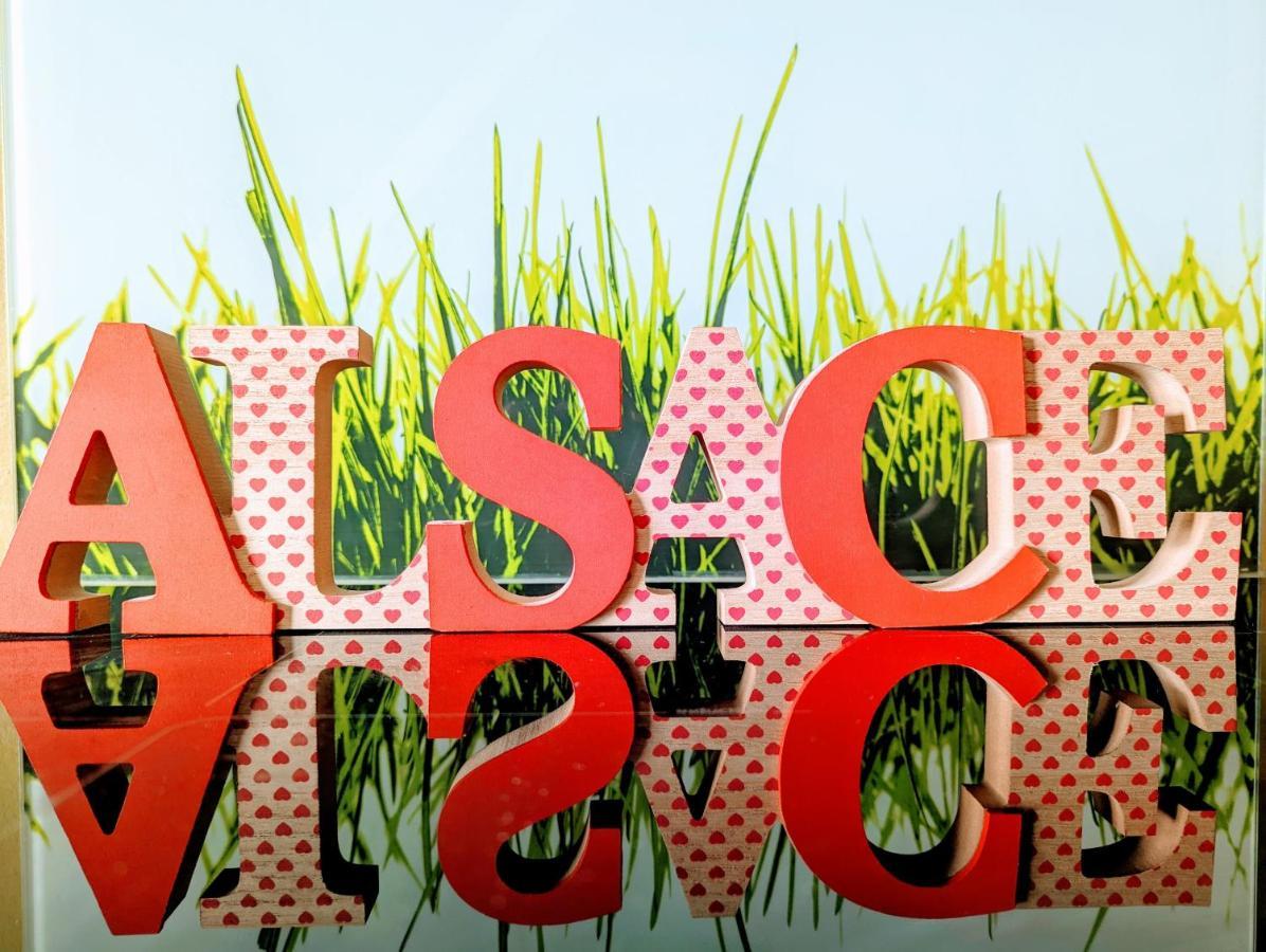 Citycosy-Strasbourg: Boston Espla 外观 照片